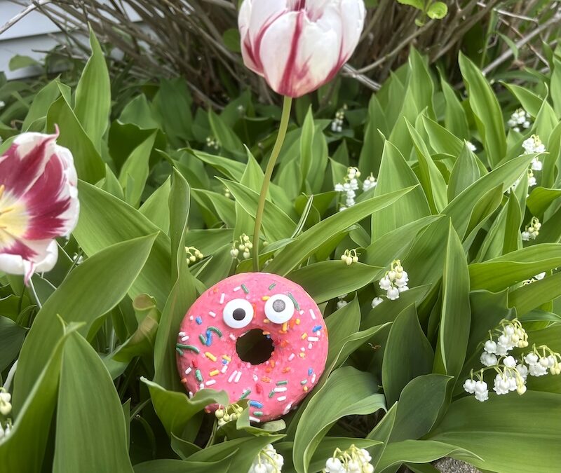 It’s Sprinkle Season!