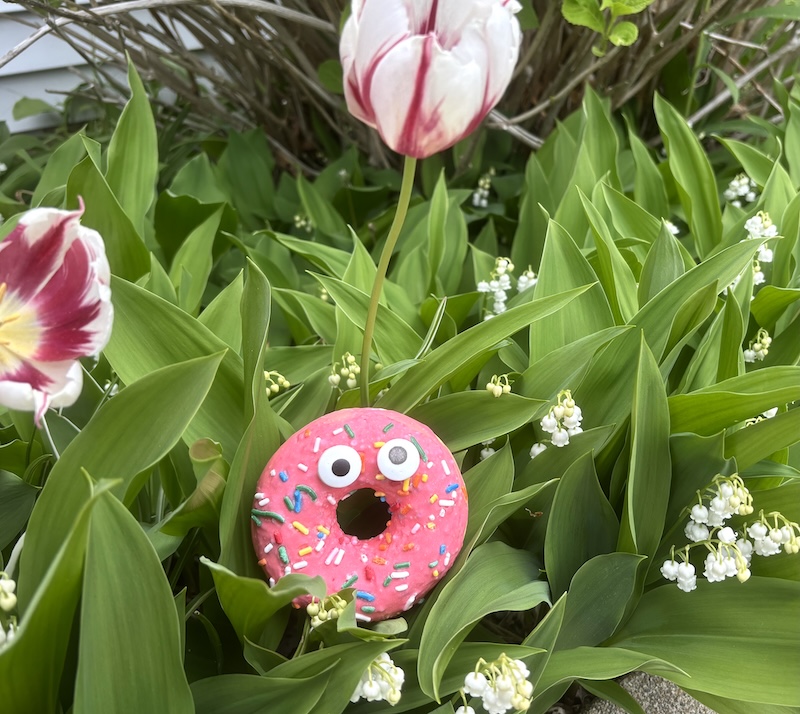 Sprinkles tells Hole in One customers good events in the spring on Cape Cod.